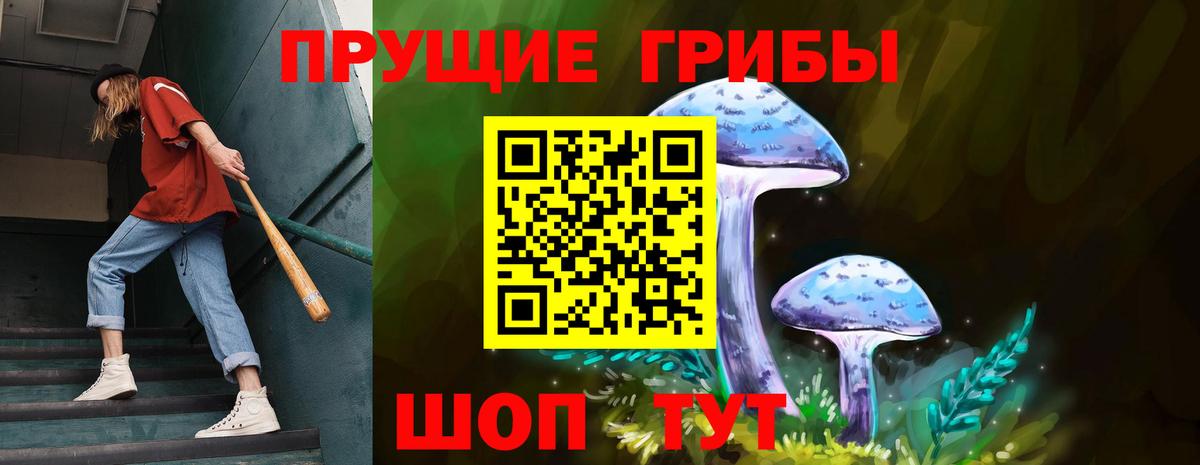 Псилоцибиновые грибы GOLDEN TEACHER Октябрьский
